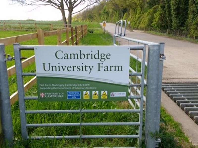 Calves colostrum pasteurizer chosen by Cambridge University